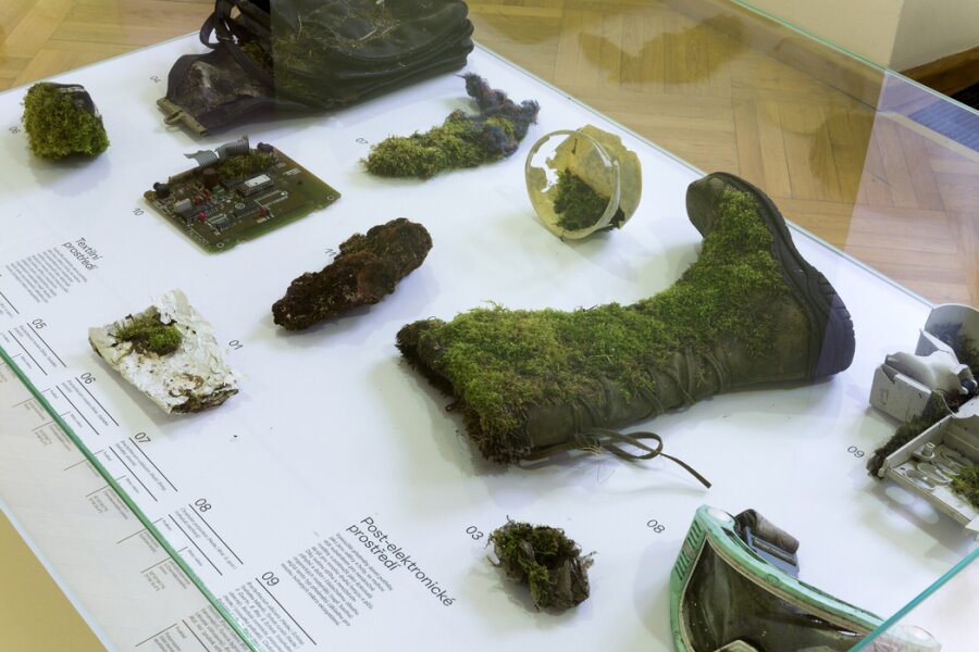 Foto: M. Dvořáková